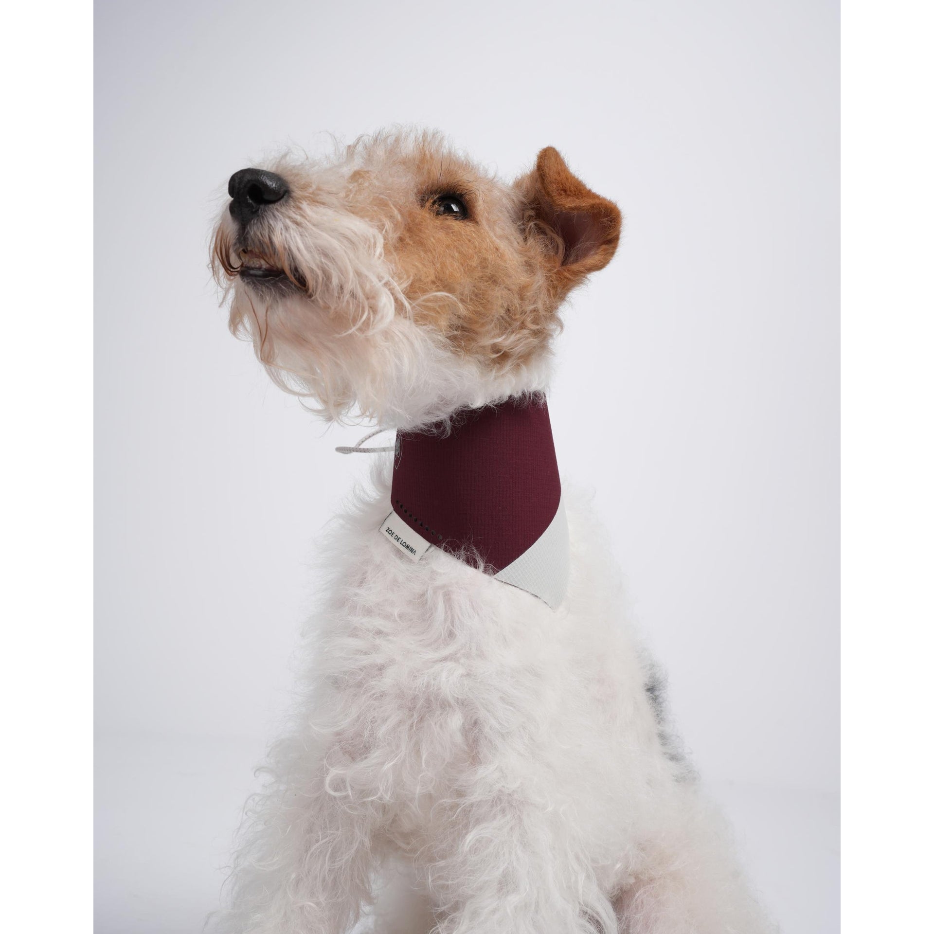 OrbitQuest Tech Sport Dog Bandana
